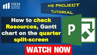 How to check Resources, Gantt chart on the quarter split-screen in MS Project.