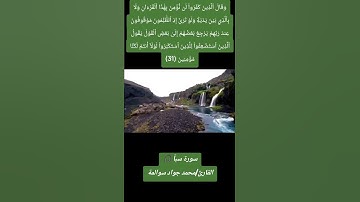 سورة سبأ - آية 31: القارئ/محمد جواد سوالمة