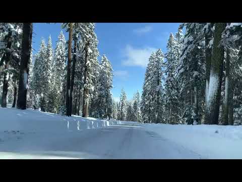 Driving up Mt Shasta