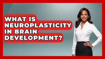 What Is Neuroplasticity In Brain Development? - Brain Development Hub