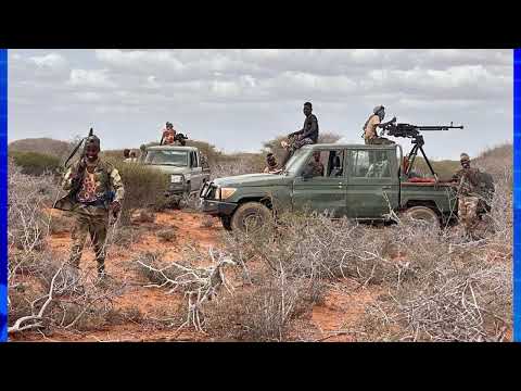 Ciidamada Danab Oo Ka Fuliyay Howgal Amni Shabeelda Hoose