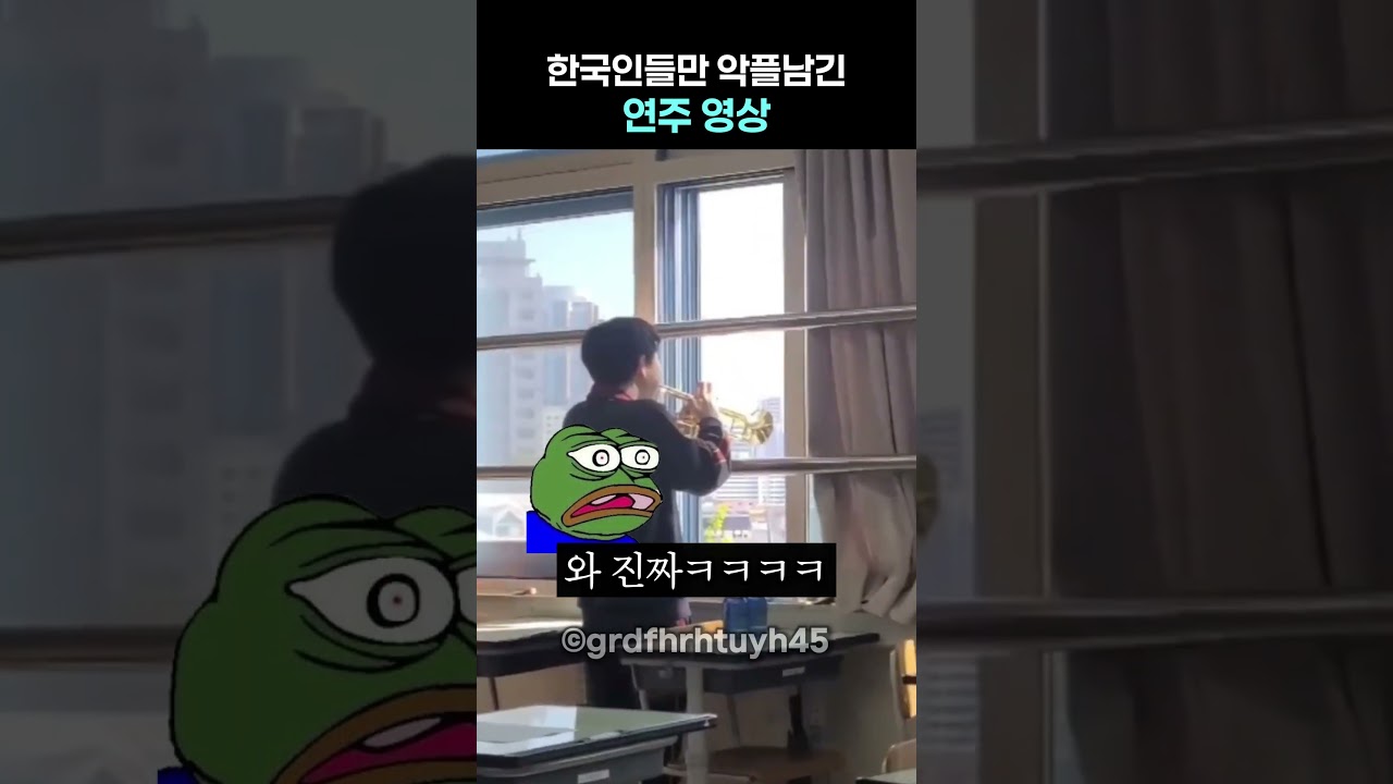 한국인들만 악플남긴 연주 영상