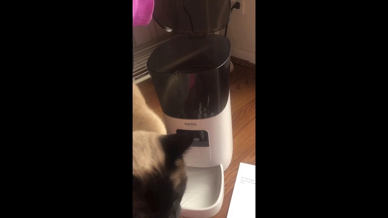 Faroro Automatic Pet feeder Setup - YouTube