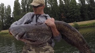 Peche du silure en Ultra leger au leurre souple en riviere