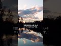 a波で深い眠りにつけます #shorts
