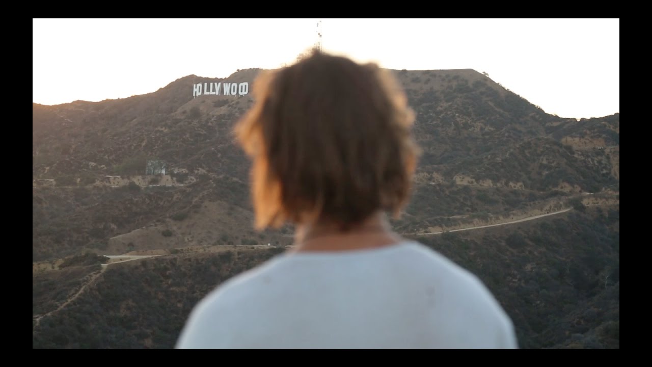 The Life of The Buzzy Kiwi