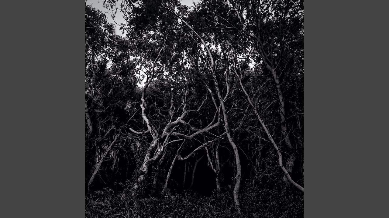 Watch Photomorph on YouTube Watch Photomorph on YouTube
