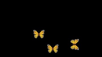 "My First After Effects Video: A Journey Into Motion Graphics!" (Butterfly animation)