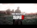 "The Beauty of Red Dead Redemption 2"