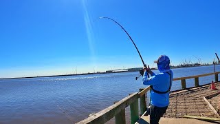 These Fisherman Catches Huge Bull Red Fish Fishing The Bull Red Run