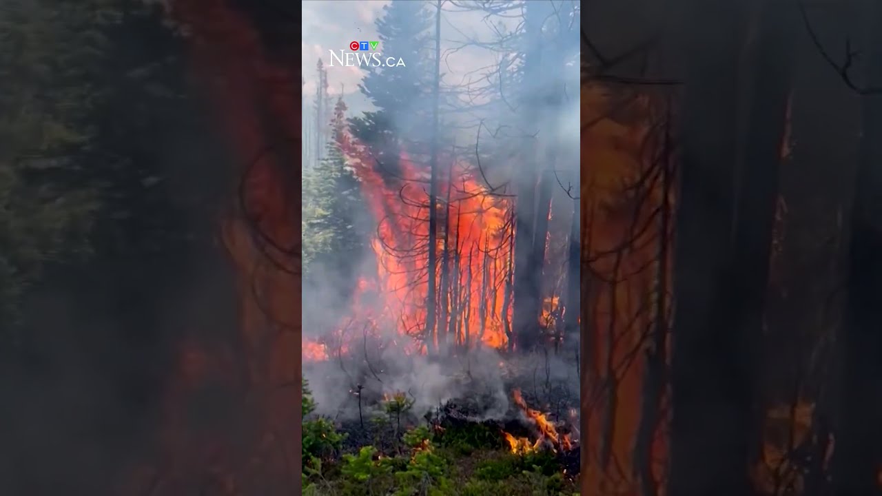 Report On Jasper Wildfire Criticizes Province