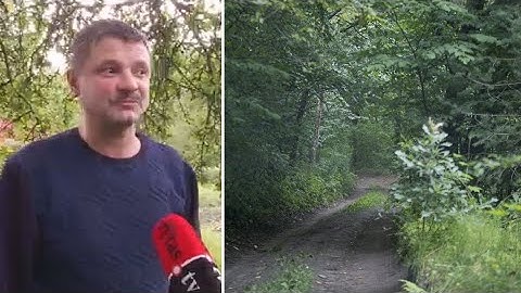 Apie kraupų įvykį Vilniaus Verkių gatvėje prabilo vietos gyventojas: „Kažkas rėkė“