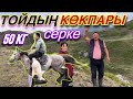 Тойдың КӨКПАРЫ жайлауда! Қырғын тартыс ДӘУ серке!