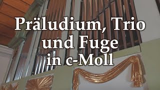 Präludium, Trio und Fuge in c-Moll (improvisert) in der Martinskirche Kleingartach Gregor Engelhardt