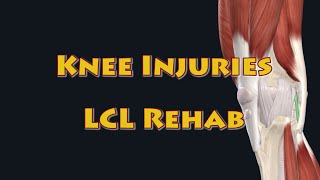 Knee Injuries- LCL Rehab