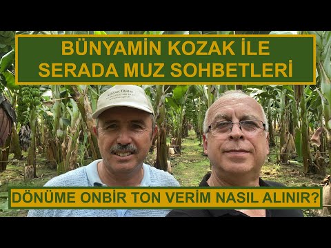 DÖNÜME ONBİR TON VERİM NASIL ALINIR?