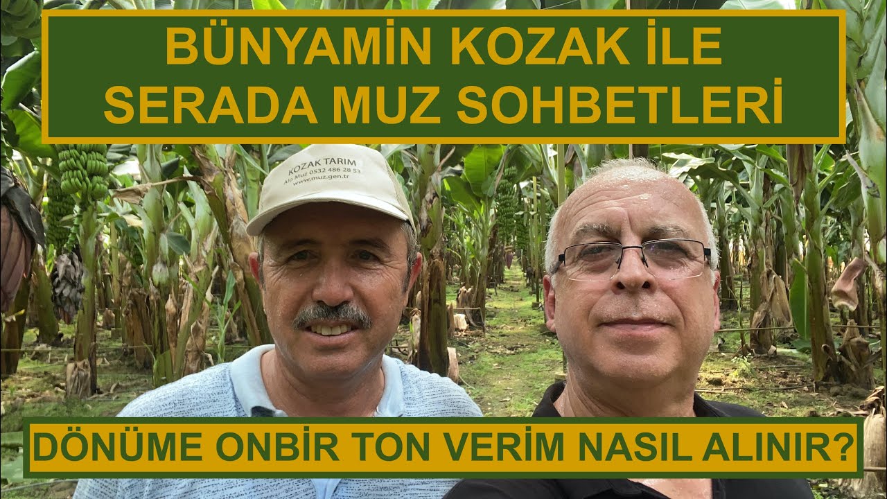 DÖNÜME ONBİR TON VERİM NASIL ALINIR?