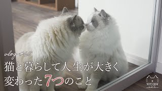 猫と暮らして人生が大きく変わった7つのことラグドール猫 #65