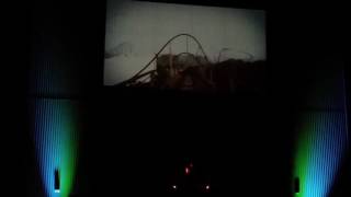 Kings Island new coaster for 2017, Mystic Timbers, POV video from announcement.