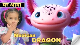 Mexican Dragon Aaya Ghar Addya Special Vlog Littleglove 