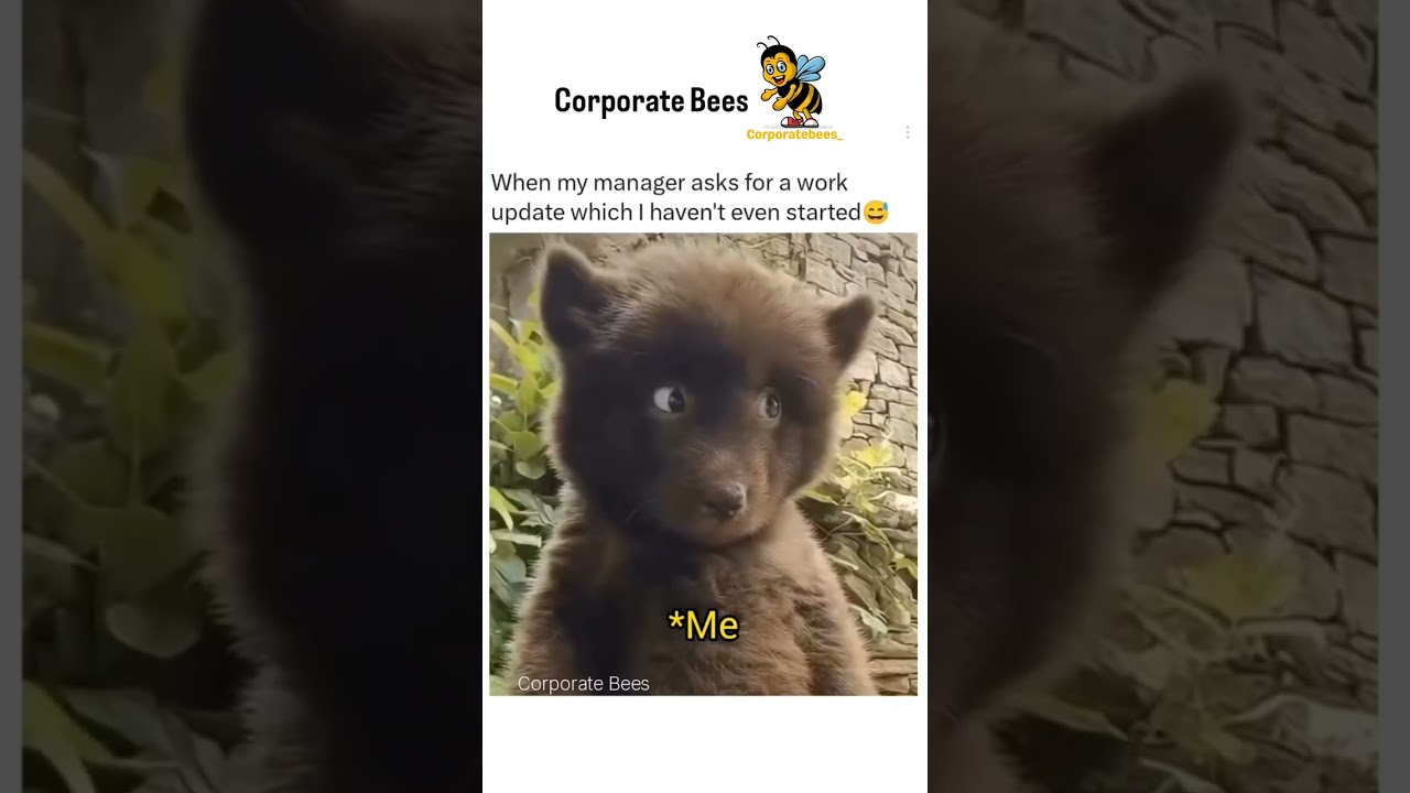 Tag that coworker who does this 😂 • 