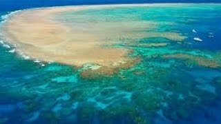 The Unseen Dangers: Exploring the Threats to the Great Barrier Reef