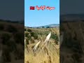 صوت البادية