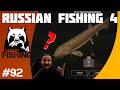 Russian Fishing 4 #92 KackFisch? nee oder... =)