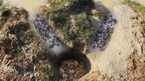 Smart Boys Make Easy Deep Hole Crab Trap To Catch Alot Of Crabs - How To Make Crab Trap In Cambodia