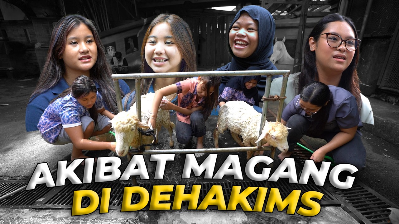 MAGANG DI DEHAKIMS TIDAK SESANTAI ITU!