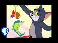 Tom &amp; Jerry | The Fishing Cat | Classic Cartoon | WB Kids