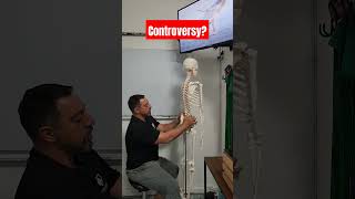 The Controversy Over the Sacroiliac Joint
