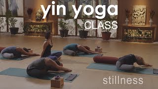 Yin Yoga Class ~ Surrender