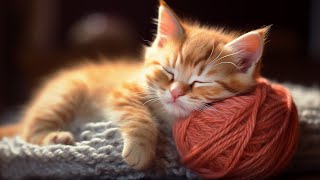EXTREMELY Soothing Cat Therapy Music  Relax Your Cat! Cat Music