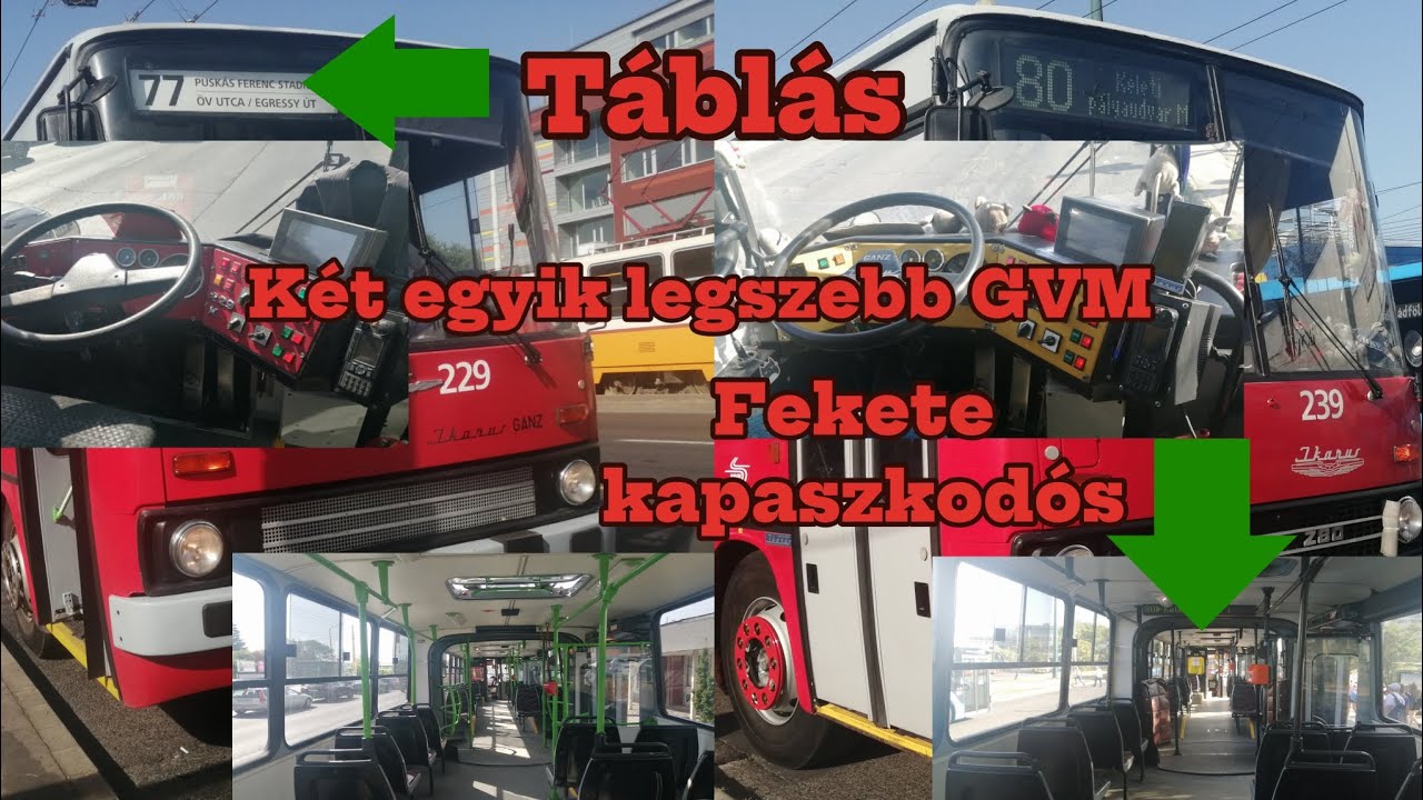 Legjobban karbantartott két Ikarus 280T (GVM) T0229 @77, T0239 @80