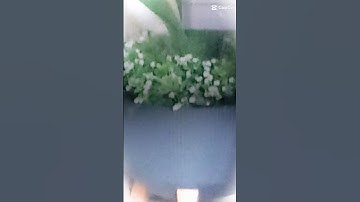 سورةالشعراء القارئ فارس عباد