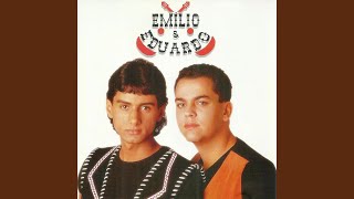 Boiadeiro e Violeiro