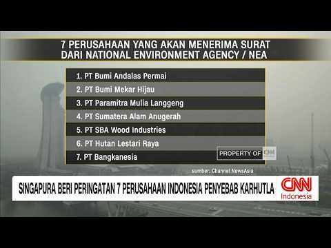 Singapura Beri Peringatan 7 Perusahaan Indonesia Penyebab Karhutla