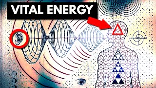 The 12 core aspects within VITAL ENERGY