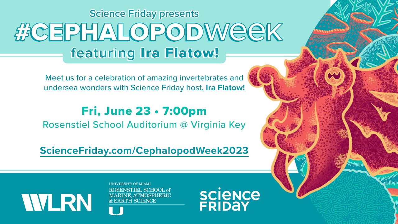 Cephalopod Week with Ira Flatow Science Friday June 23, 2023 YouTube