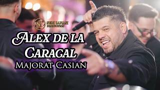 Alex de la Caracal - Hai producatorii (cover) Special pentru Casi & Mihăiță / LIVE 4k