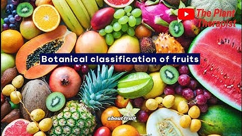 Botanical Classification of Fruits. Fleshy fruits, dry fruits, and many more!