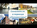 Калининград. Сожалеем ли о переезде? Почему не Краснодар, не Сочи? Калининград - Европа?