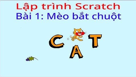 Bài 1 - Mèo Bắt Chuột - Lập trình Scratch
