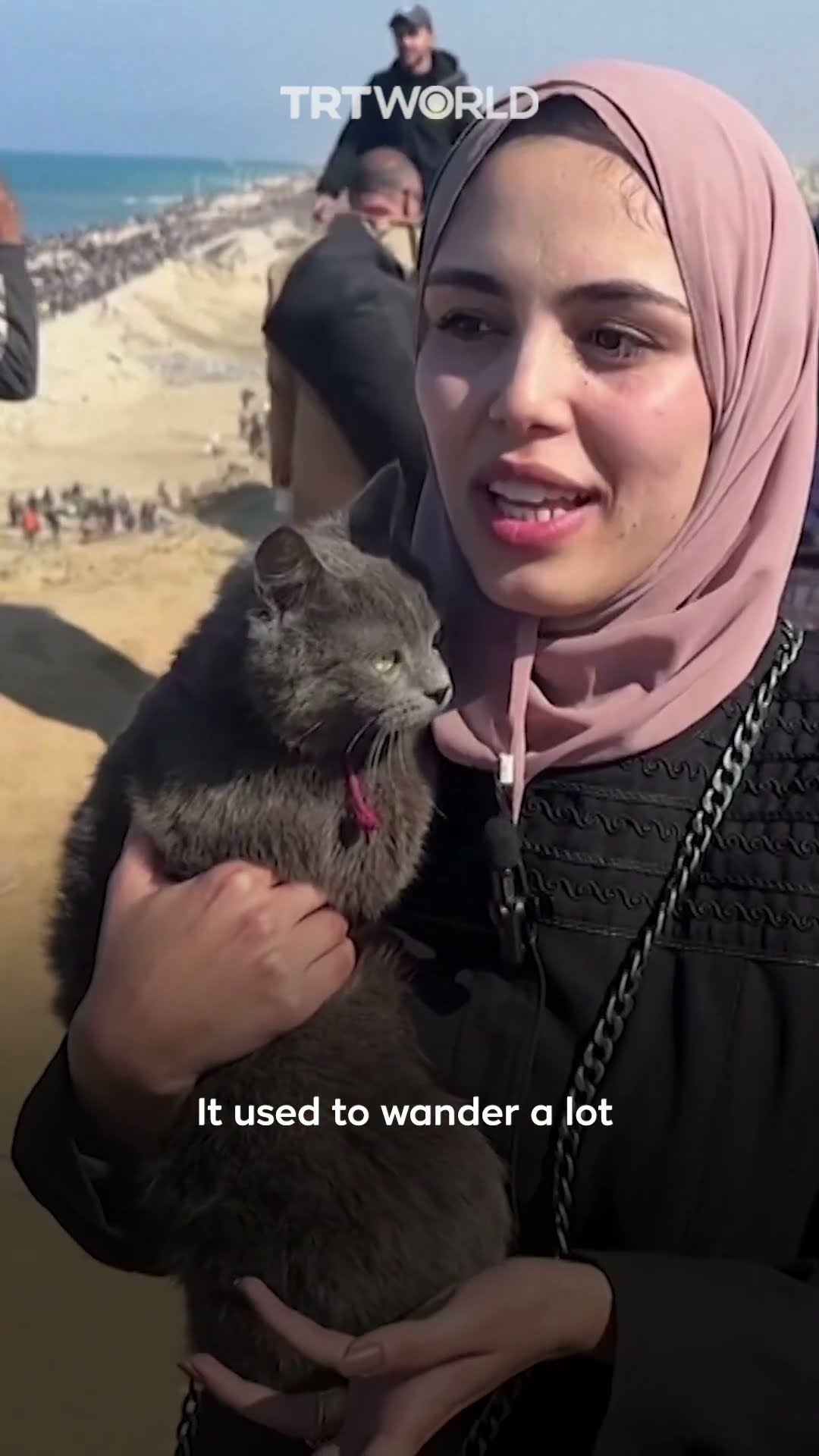A displaced Palestinian returns home with her cat