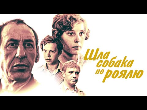 Видео: Собственная собака недели - Tubby