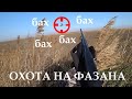 Первая охота. Быть или не быть....