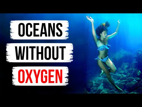 What If Oceans Ran Out of Oxygen Suddenly