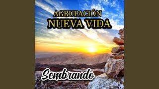 Video thumbnail of "Agrupación Nueva Vida - Libertame"
