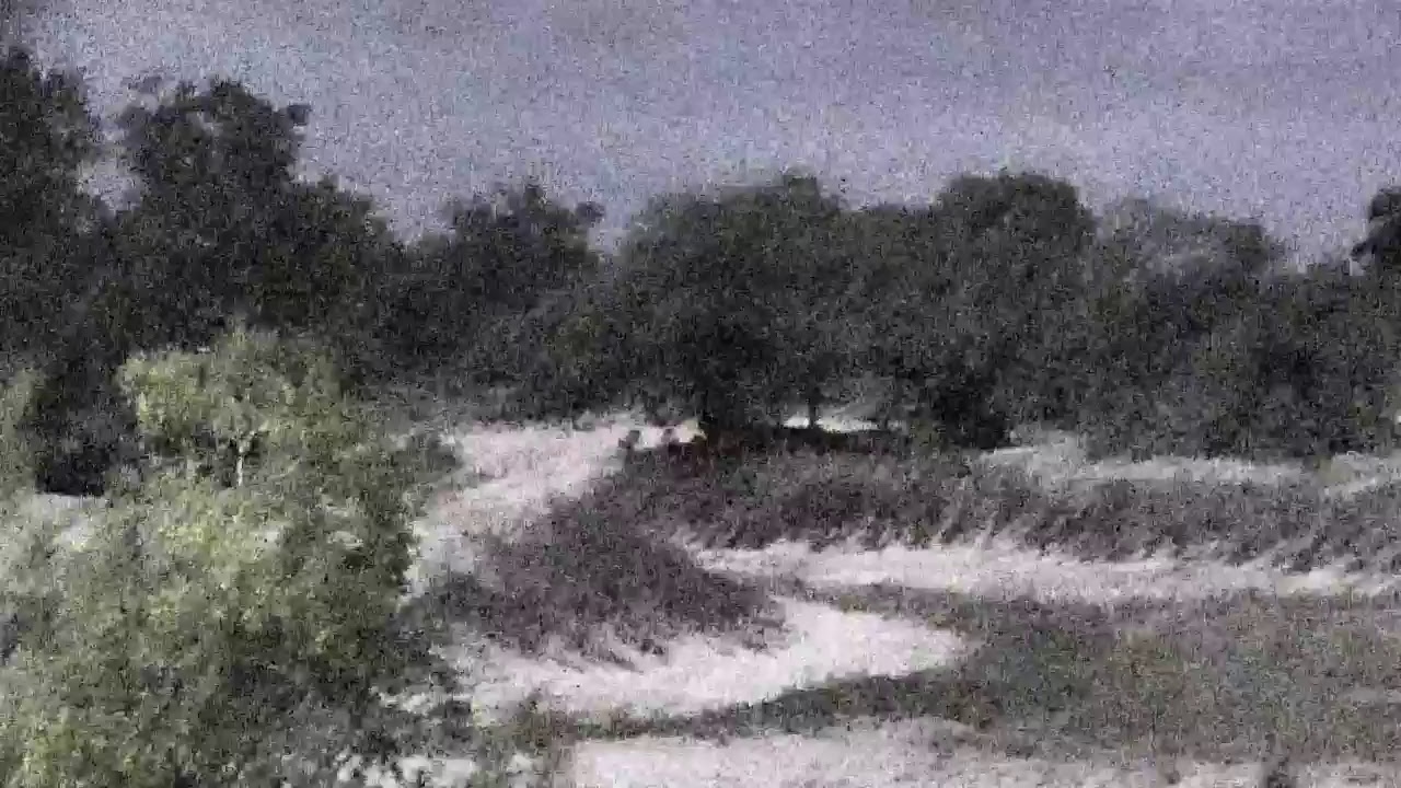 djuma private game reserve live stream youtube djuma private game reserve live stream youtube